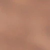 Jaipur Cushion - Image 12